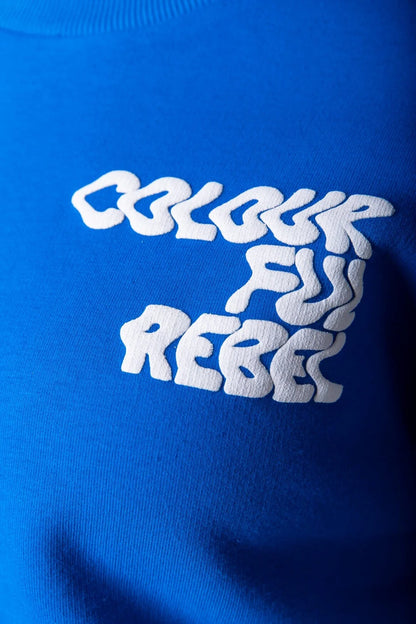 Colourful Rebel Wave Logo Sweater