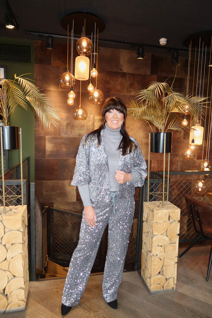 Ambika Velvet Paillet Broek Zilver