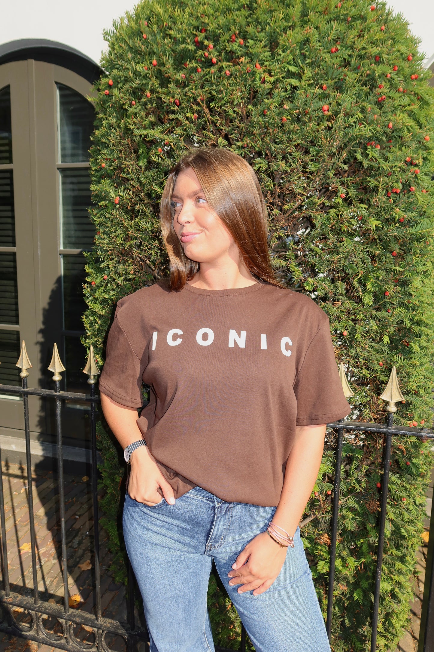 Ambika Iconic T-Shirt Bruin