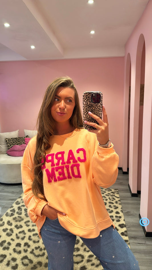 Carpe Diem Sweater Peach