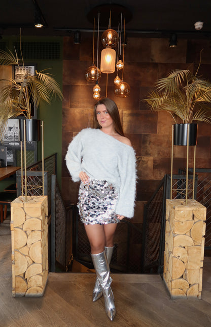 Ambika Paillet Rokje Zilver