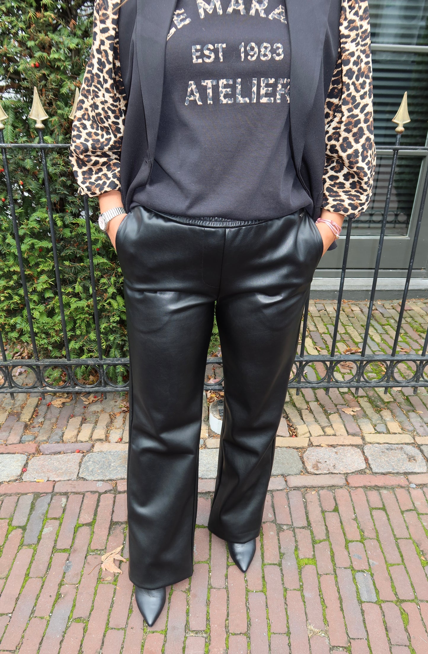 Ambika Briar Vegan Leather Pants