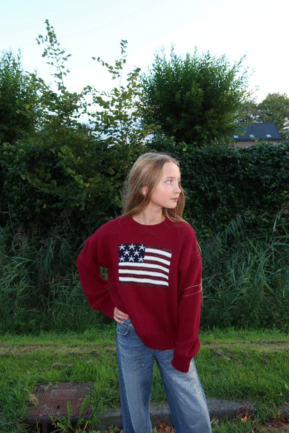 USA Glitter Sweater Bordeaux